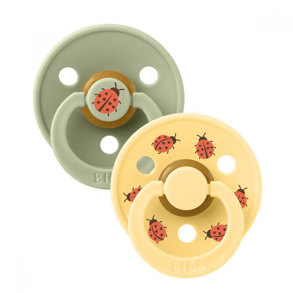Bibs Πιπίλες Καουτσούκ No3 για  18-36 μηνών STUDIO COLLECTION Colour LADYBUG/SAGE   2τμχ