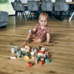 Ξύλινη Φάρμα Με Τουβλάκια 36Τμχ. Free2Play