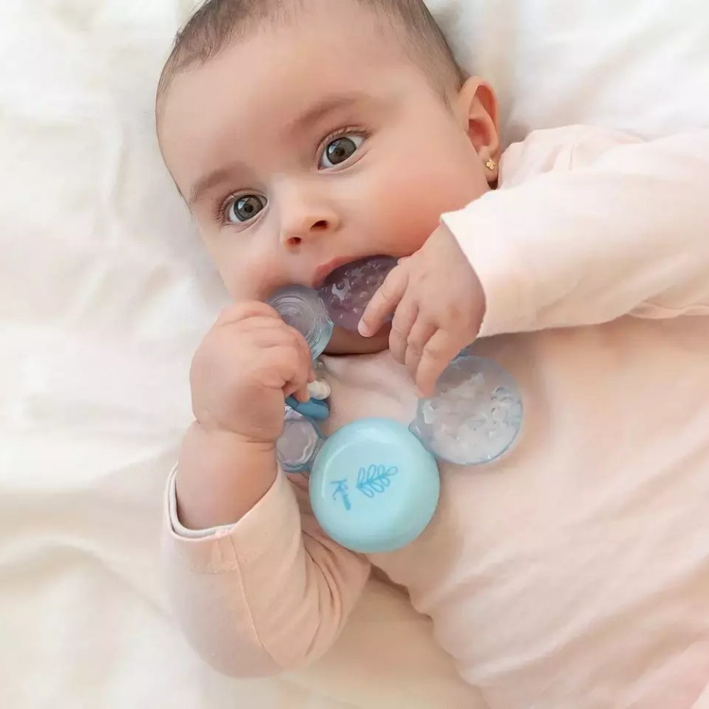 Μασητικός Κρίκος Οδοντοφυΐας Νερού Σιέλ 