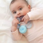 Μασητικός Κρίκος Οδοντοφυΐας Νερού Σιέλ Μασητικός Κρίκος Οδοντοφυΐας Νερού Σιέλ