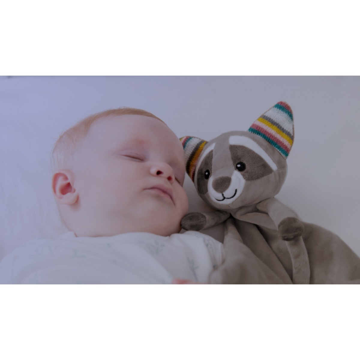 Πανάκι Παρηγοριάς με λευκούς ήχους ZAZU Robin Racoon Πανάκι Παρηγοριάς με λευκούς ήχους ZAZU Robin Racoon