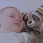 Πανάκι Παρηγοριάς με λευκούς ήχους ZAZU Robin Racoon Πανάκι Παρηγοριάς με λευκούς ήχους ZAZU Robin Racoon