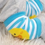 Επιγονατίδες Βρεφικές  Kai the Koala & Puddles the Duck, ( 2 ΣΕΤ) Zoocchini